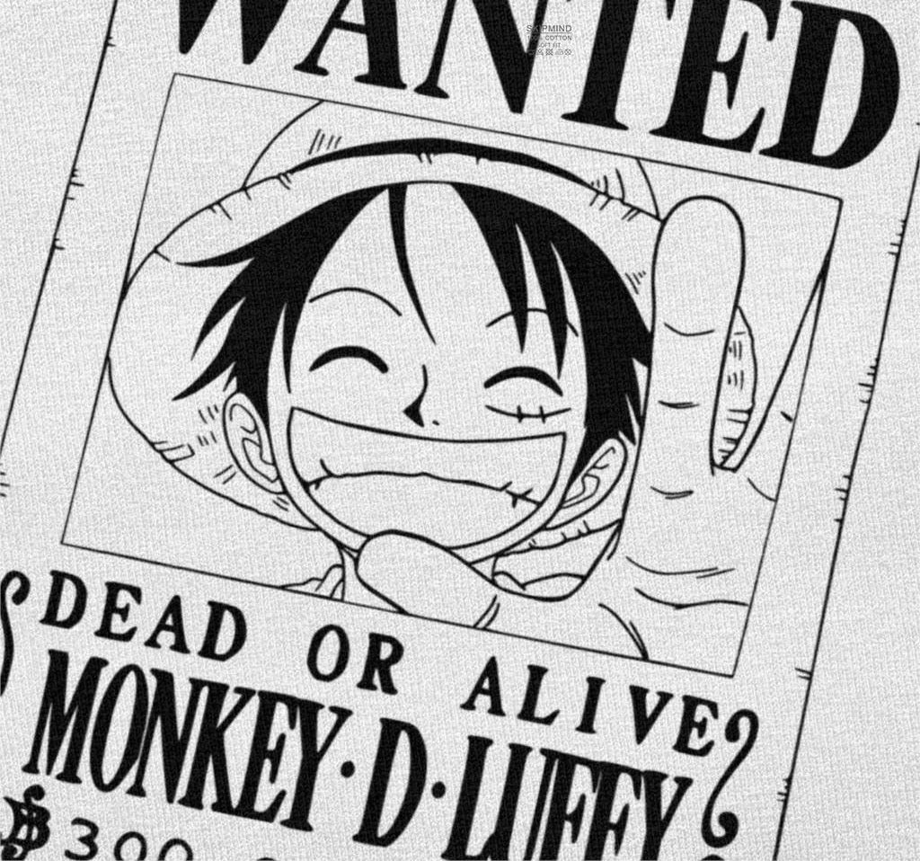One Piece T-shirt Monkey D. Luffy