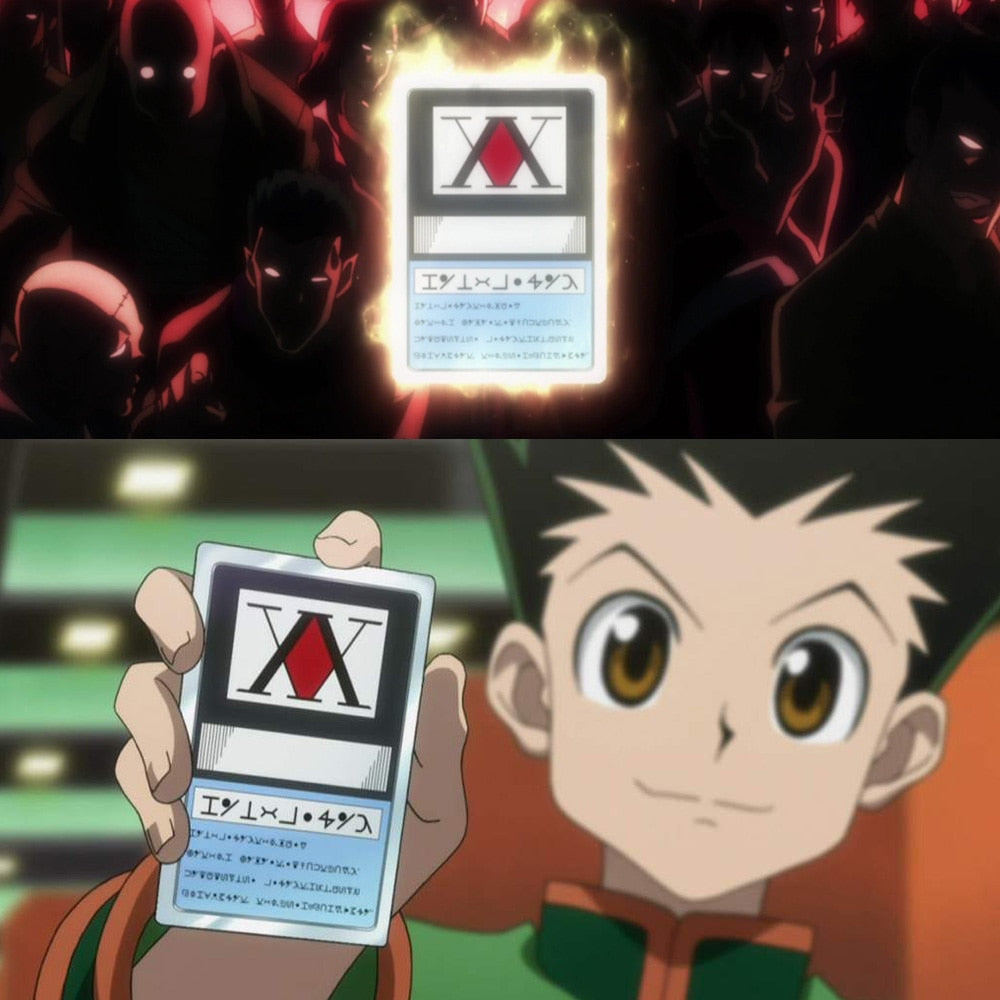 Hunter License - Hunter x Hunter